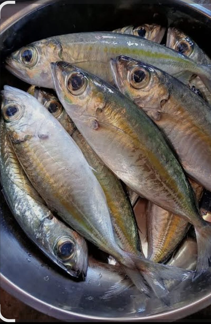 Katombo